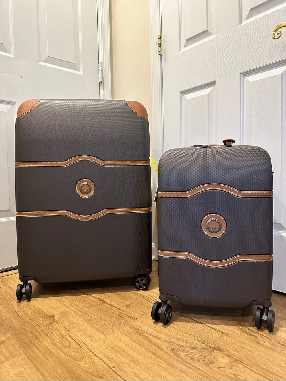 New DELSEY PARIS 2 Piece Set (20”Carry On + 28” Check Luggage)